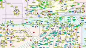 Wenn Daten den Verstand verhexen