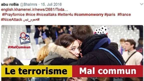 Porno-Glanz und iranisches Elend der Social Bots