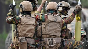 Haubitzen in der Heide