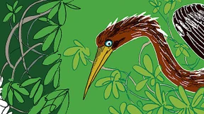 Zehn Zentimeter über dem Alligator 