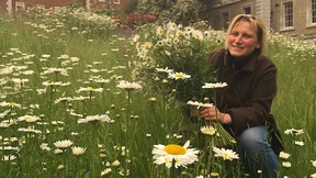 „England ist ein klein bisschen selbstgefällig“