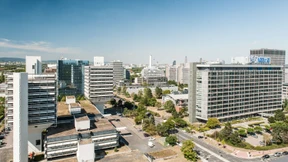 Die Büromieter kehren nach Frankfurt zurück