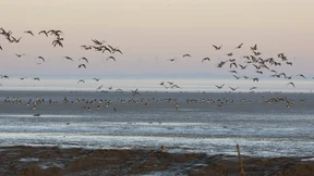 „Rüm hart - klåår kiming“