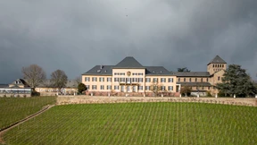 High-End-Riesling ohne Prozente