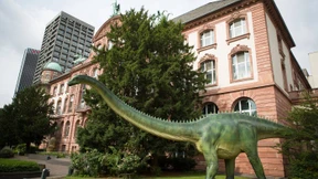 Mängel, Spielräume, Unsicherheit