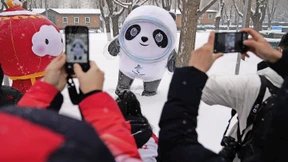 Schlange stehen für Plüschpandas