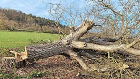 Weil der Stadt verklagt SWR wegen falscher Berichterstattung