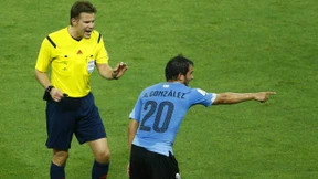 Lob für Brych und Robben