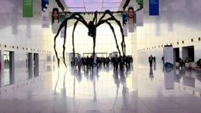 Big Data und die Strapazen des gesunden Lebens