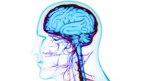 Hirnforschung – Basis für immer bessere Therapien
