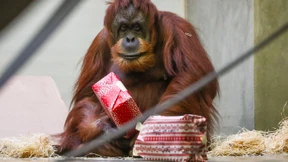 Darf ich schenken, was ich will?