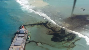 Die Rückkehr auf die Schutzinsel