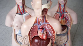 Der Übereifer vor dem Tod