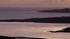 Die Leerbeauftragten