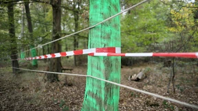 Sicherheitsfirmen der SDM-Gruppe stellen Insolvenzanträge