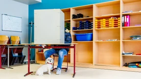 Die Stimmen der Anderen