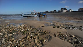 Die komplizenhaften Vettern vom Ärmelkanal