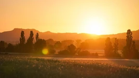 Lust am Text? Das sagt sich leicht!