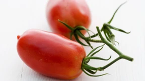„Tomaten schmecken ohne Salz“