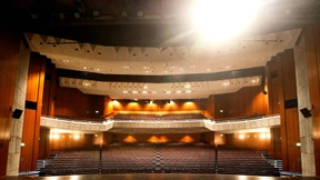 Theater zwischen Luxus und Standortfaktor