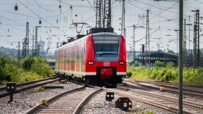 Regionalzug erfasst Schafherde