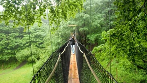 Mit den Vögeln auf Augenhöhe