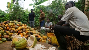 Spekulanten treiben die Schoko-Inflation