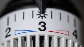 Mit Sicherheit Kaltblütig