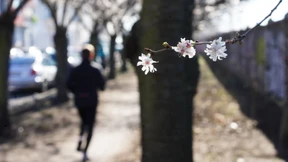 Es bleibt sonnig und warm