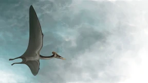 Dracula in Denkendorf