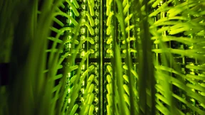 Amerikaner hacken die Festplatten