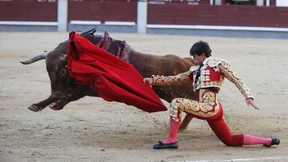 Weniger registrierte Arbeitslose in Spanien