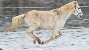 Die kuriosen Steuern deutscher Städte
