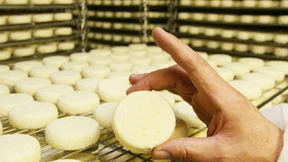 Kommt der Handkäs bald aus Houston?