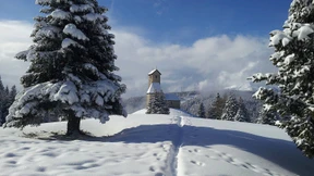 Im Refugium des furchterregenden Tatzelwurms