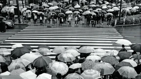 Im Land der aufgehenden Erwartungen