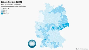 Professoren und Protestwähler