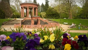 Champagnerluft und Feinstaub