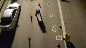 DNA-Spuren führen zum mutmaßlichen Pflastersteinwerfer