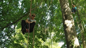 Von Holzwegen, Luftnummern und Wasserläufern