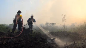 „Indonesien allein für Brandrodungen verantwortlich“