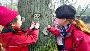 Viele Kinder sind noch nie auf einen Baum geklettert