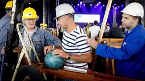 Niederländische Bauern verkaufen Strom