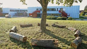 Schüler bekommen mehr Grün