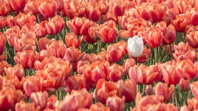 Zu einer Diagnose gehört eine wirksame Therapie