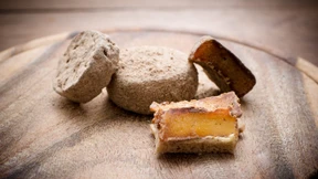 Käse mit Spinnentierchen