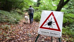 Die Gefahr lauert auch im Stadtpark