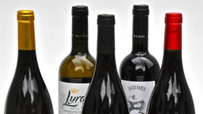 Südtirol, deine Besten