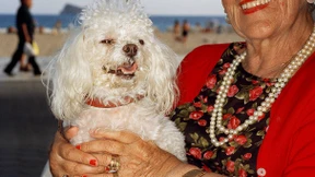 Ein Cockapoo muss es sein