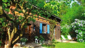 Ein Paar zieht in den Wald